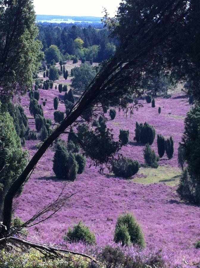 Appartamento Garbers-Hof Undeloh Esterno foto