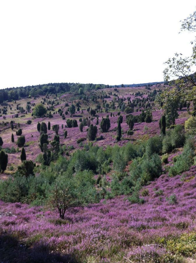 Appartamento Garbers-Hof Undeloh Esterno foto