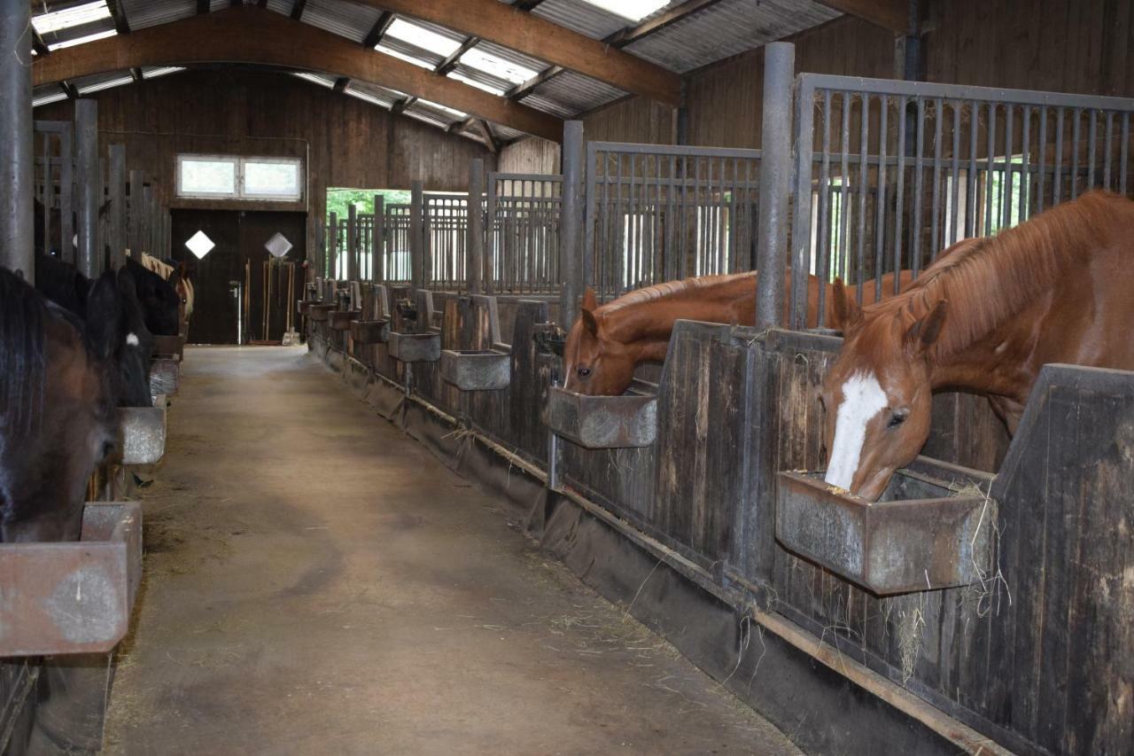 Appartamento Garbers-Hof Undeloh Esterno foto